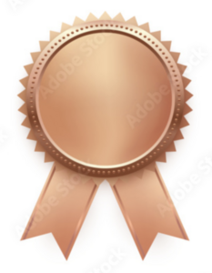 Bronze Level Sponsorship
