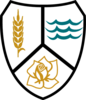 Medina Valley Swim Club Logo