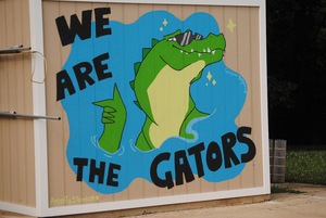 Gators