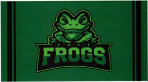 2026 Fast Frog Premium Towel