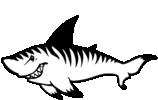 Tuckahoe Village West Tiger Sharks Logo