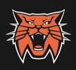 Woodside High School Swim Team Logo