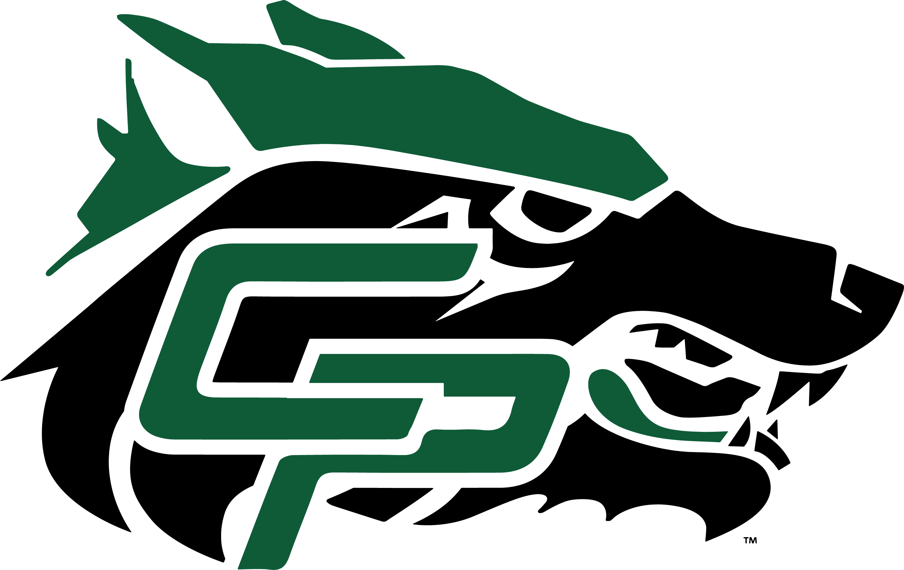 about-cedar-park-high-school-swim-dive-team-booster-club