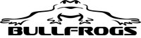 Jersey Shore Bullfrogs Summer Swim Team Logo