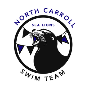 Bronze Sponsor