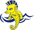TSD Summer Swim Team Logo
