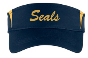 Visors