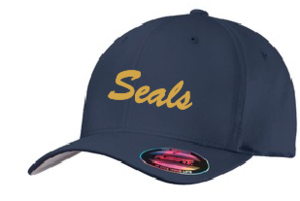 Flexfit hat