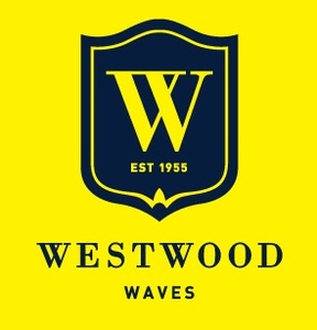 Yellowblue_waves_logo