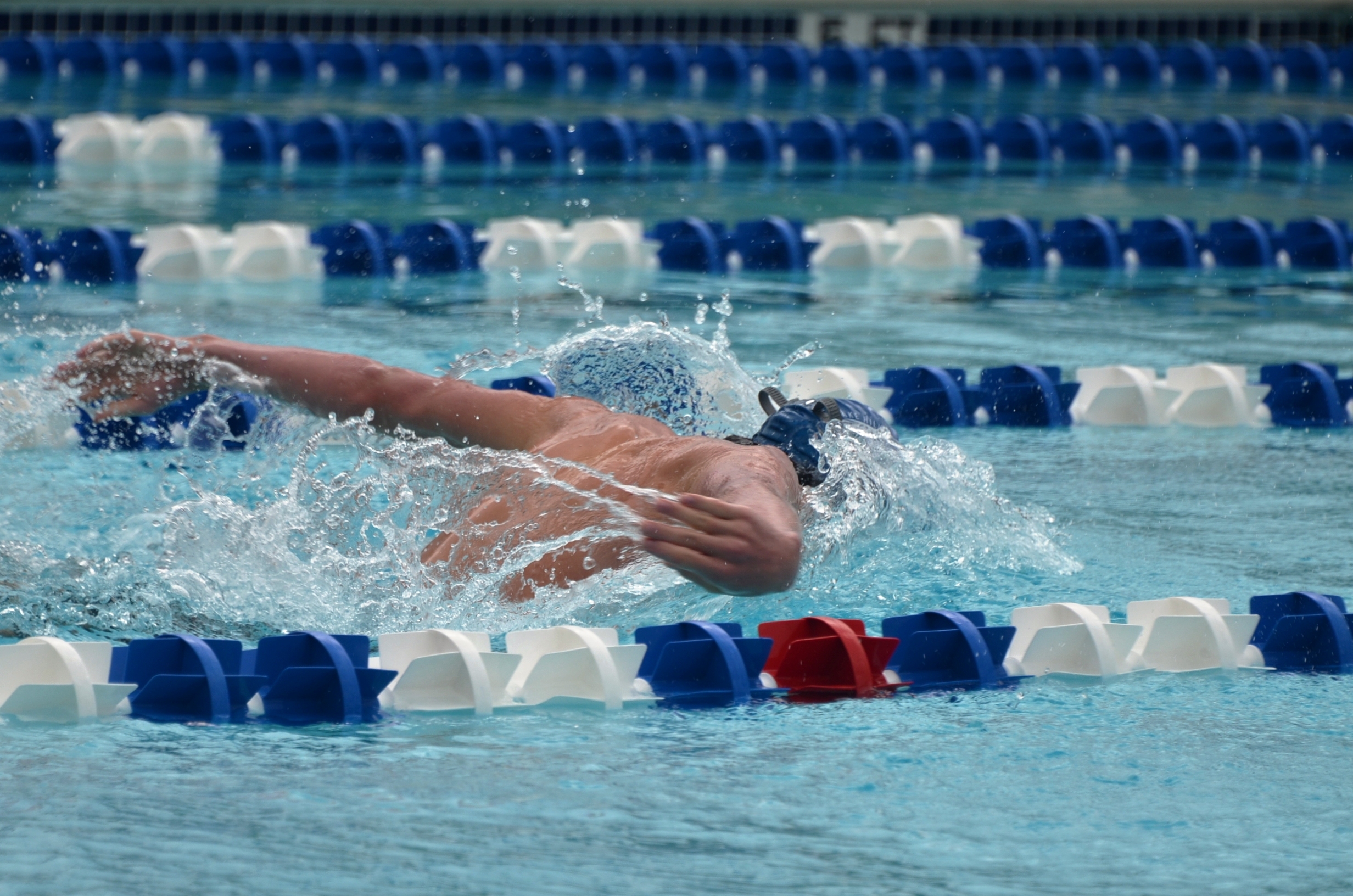 Westlake Swim Camp Lake Hills Splashers