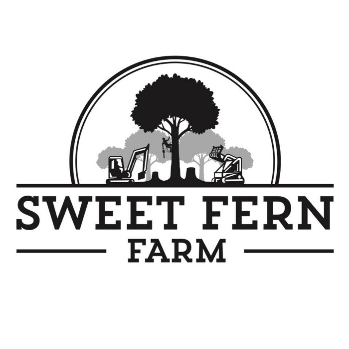 Home Lovettsville Dolphins