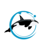 One Loudoun Orcas Logo