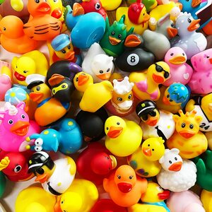 Ducks