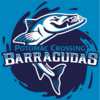 Potomac Crossing Barracudas Logo