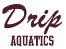 Dripping Springs HS Aquatics Logo