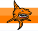 Herrin_tigersharks_logo