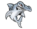 Hasentree Hammerheads Logo
