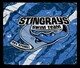Stingray_blanket