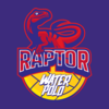 Mid-Michigan Raptor Water Polo Logo