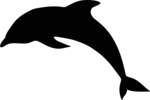 Ventura Family YMCA Dolphins Logo
