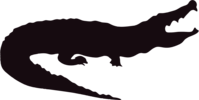 Santa Barbara Family YMCA Gators Logo