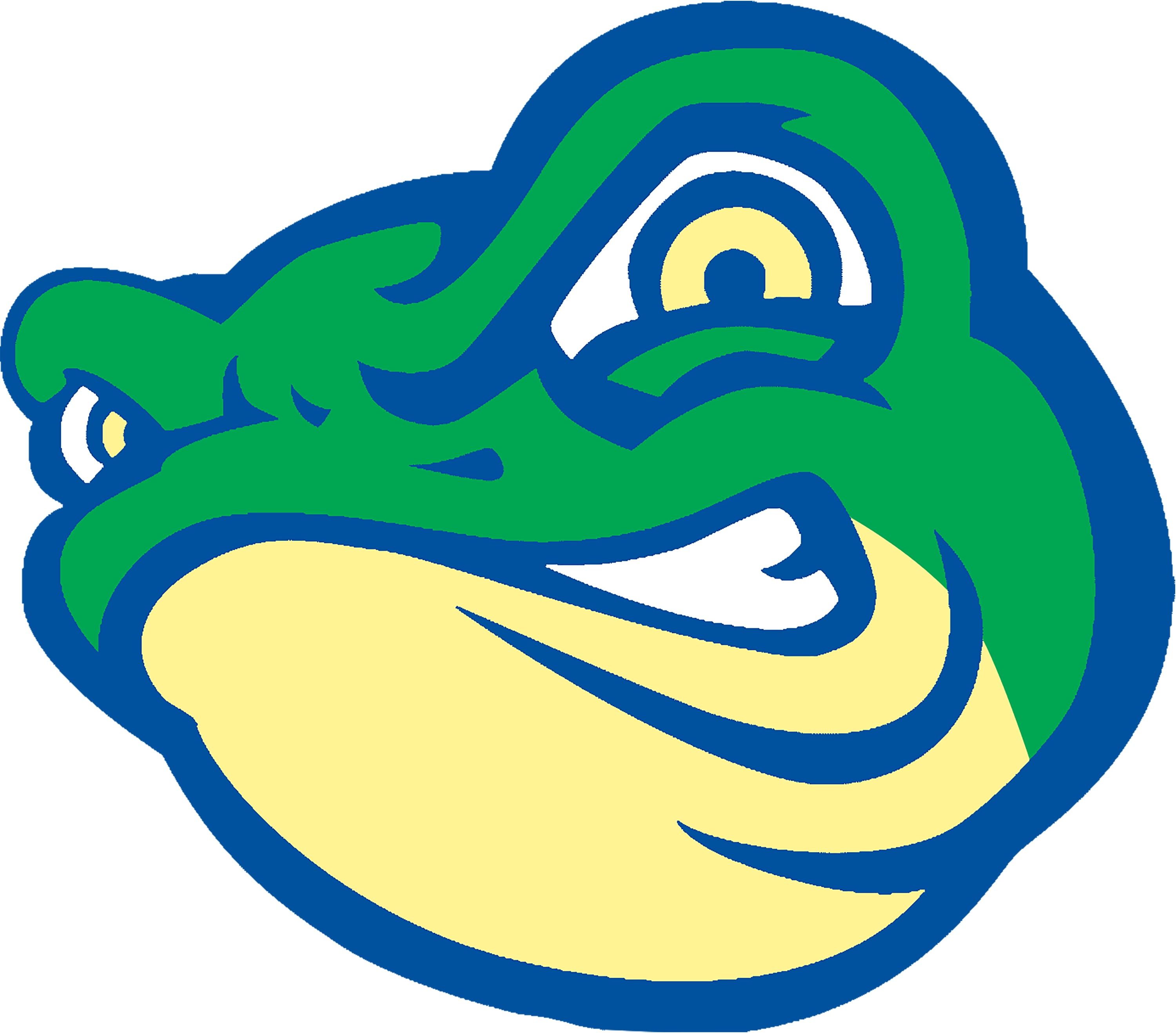 Information Walnut Creek Swim Team