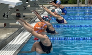 Quarter Page Penn Jersey Swim League Program