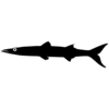 Camarillo Barracudas Logo