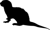 Montecito Family YMCA Otters Logo