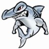 Hammond Hills Swim Team Logo