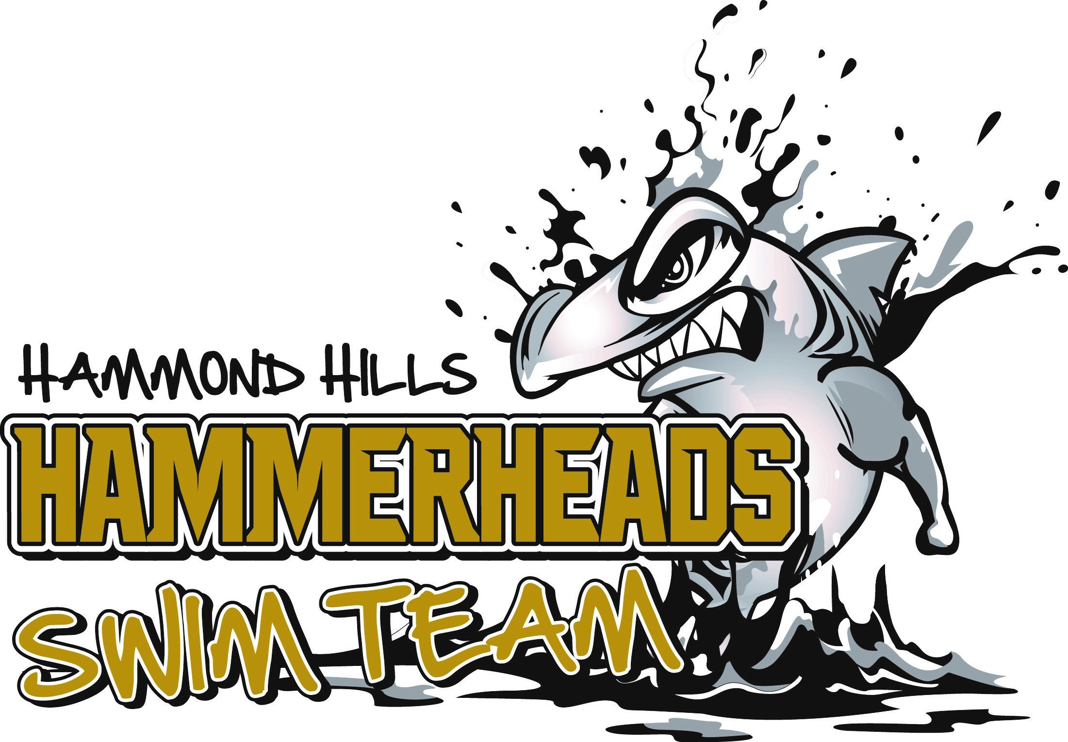 About Hammond Hills Swim Team North Augusta, SC