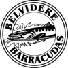 Belvidere Barracudas Logo