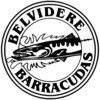 Belvidere Barracudas Logo