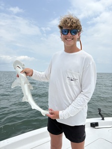 Hudson_brown