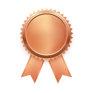 Bronze Sponsor