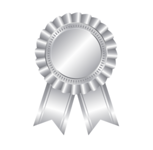 Silver Sponsor
