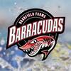 Bradfield Farms Swim Team Logo