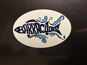 Car Magnet