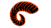 Rockville High School Logo