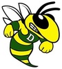 Damascus High School Logo