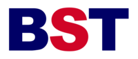 Brattleboro Swim Team Logo