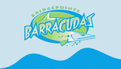 Barracudas Logo