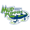 Meredith Townes Logo