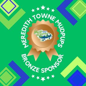 BRONZE Sponsor
