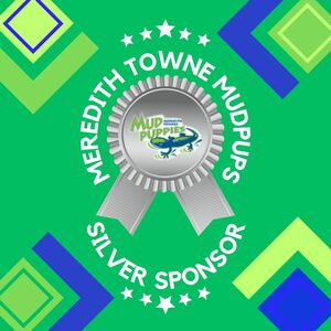 SILVER Sponsor
