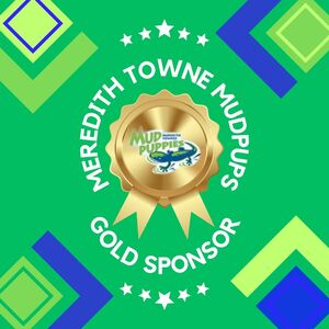 GOLD Sponsor