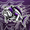 Bullfish Swim Team Logo