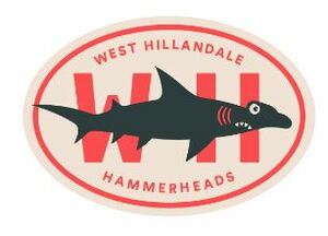 Hammerheads Car Magnet