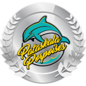 Silver Medal Sponsor