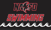 NATION FORD Logo